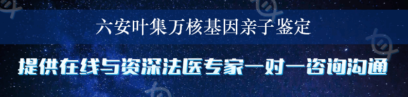 六安叶集万核基因亲子鉴定